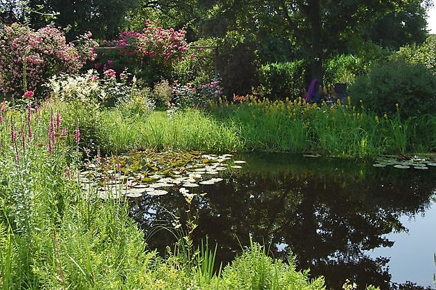 Gerda Kruse-Pranger Westoverledingen-Flachsmeer - Het Tuinpad Op / In Nachbars Garten
