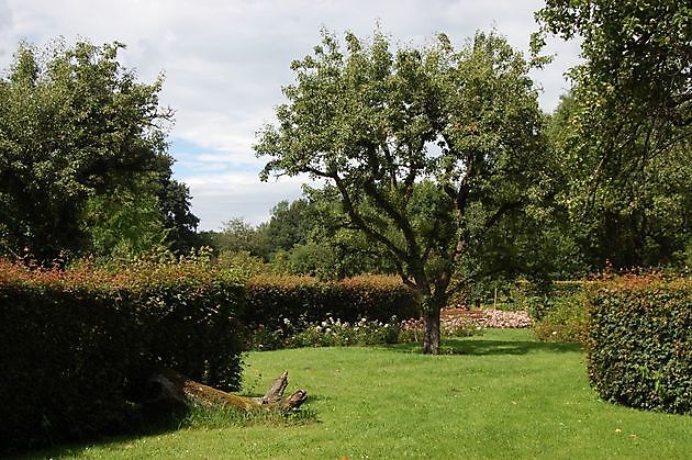 Hortus Haren Haren - Het Tuinpad Op / In Nachbars Garten