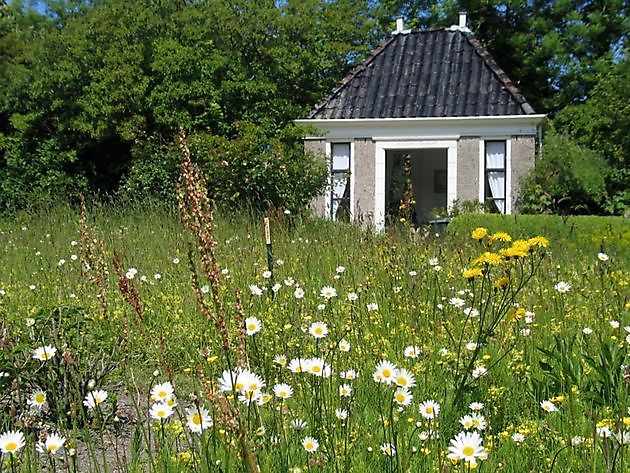Domies Toen Pieterburen - Het Tuinpad Op / In Nachbars Garten