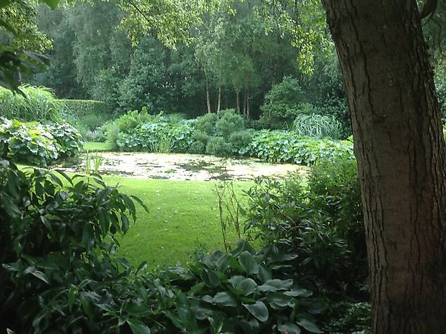 Garten Chris Bruinsma Zuidwolde - Het Tuinpad Op / In Nachbars Garten