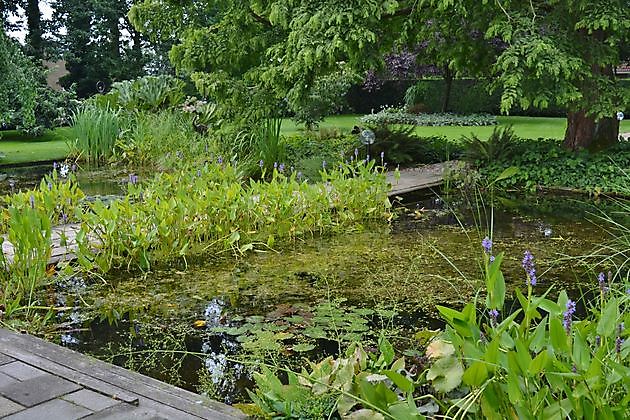 Das Froschrevier De Krim, Hardenberg - Het Tuinpad Op / In Nachbars Garten