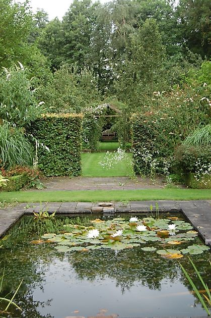 Cocky Stottelaar Peize - Het Tuinpad Op / In Nachbars Garten