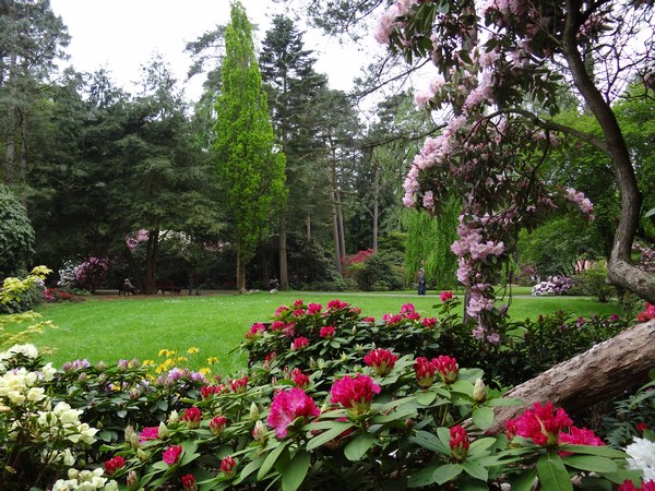 Farbenrausch im Blütenmeer -  Hobbie Rhododendronpark Westerstede-Petersfeld - Het Tuinpad Op / In Nachbars Garten