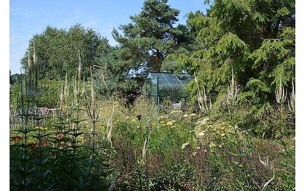 Tuin van Helen Buwalda Groningen - Het Tuinpad Op / In Nachbars Garten