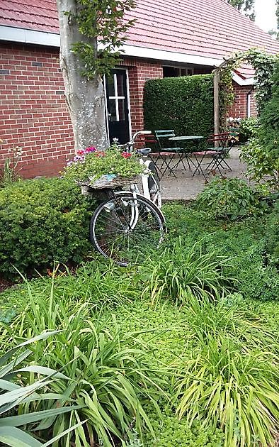 De Tuinfluiter Veenoord - Het Tuinpad Op / In Nachbars Garten