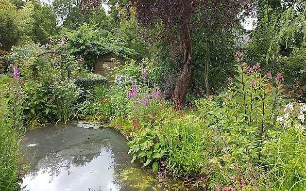 Der Garten von Anneke van Apeldoorn Havelte - Het Tuinpad Op / In Nachbars Garten