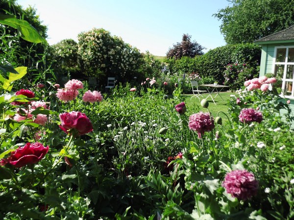 Blütenreich am Deich Elsfleth - Het Tuinpad Op / In Nachbars Garten