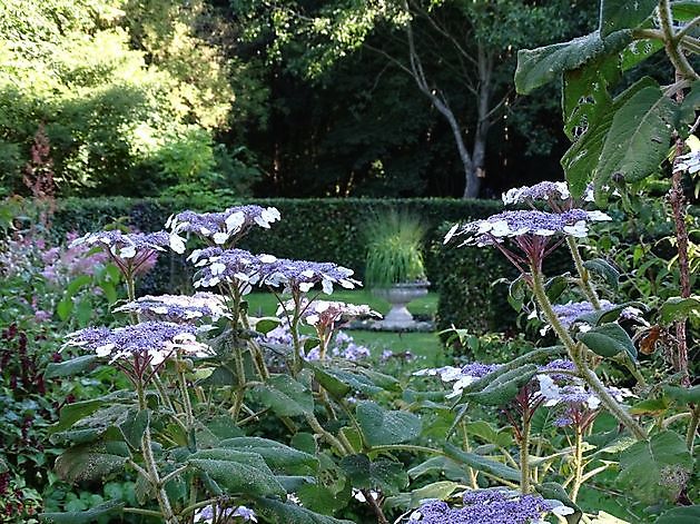 De Houtstek Blijham - Het Tuinpad Op / In Nachbars Garten