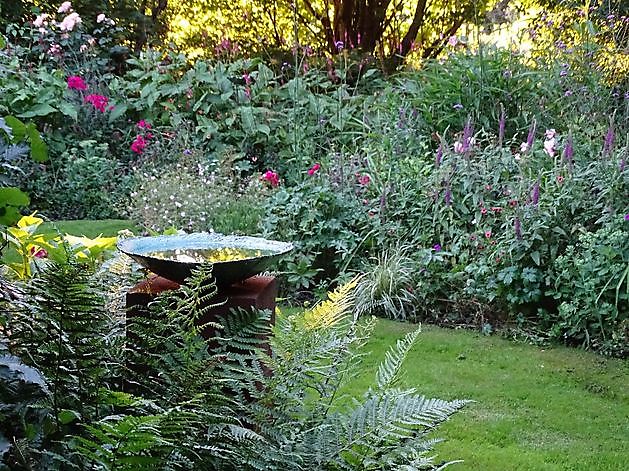 De Houtstek Blijham - Het Tuinpad Op / In Nachbars Garten