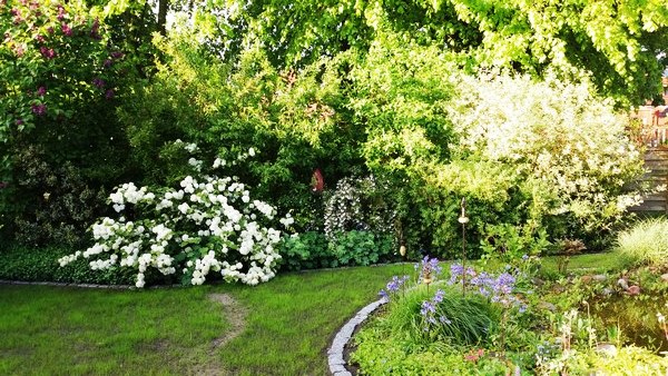 Garten Geziena Scholtalbers Weener - Het Tuinpad Op / In Nachbars Garten