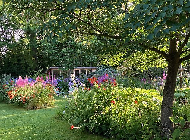 Garten Marie José Tepe Eelde - Het Tuinpad Op / In Nachbars Garten