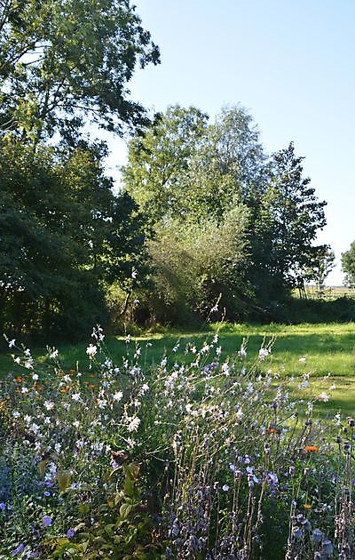 Der Bauernhofgarten Beerta - Het Tuinpad Op / In Nachbars Garten